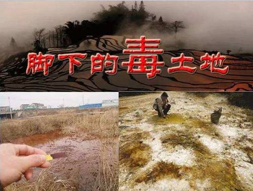 土壤樣品采集開始啦 安國(guó)中藥材(中國(guó)藥典品種)質(zhì)量可追溯項(xiàng)目( 2020 ) 土壤樣品采集開始啦 安國(guó)中藥材(中國(guó)藥典品種)質(zhì)量可追溯項(xiàng)目( 2020 )