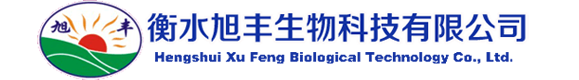 青海新能源集團(tuán)有限公司
